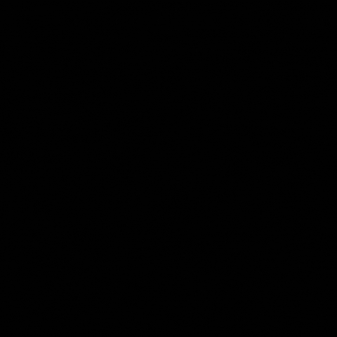 Flash Image